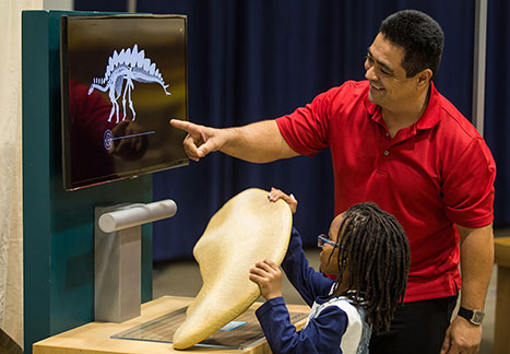Fossil Identification Exhibit