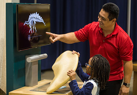 Fossil Identification Exhibit